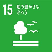 SDG16アイコン